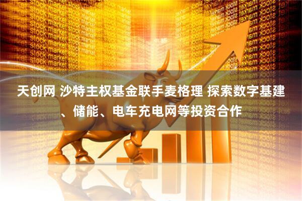 天创网 沙特主权基金联手麦格理 探索数字基建、储能、电车充电网等投资合作