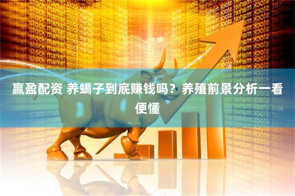 赢盈配资 养蝎子到底赚钱吗？养殖前景分析一看便懂
