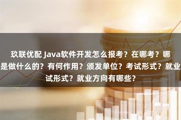 玖联优配 Java软件开发怎么报考？在哪考？哪些人适合考?是做什么的？有何作用？颁发单位？考试形式？就业方向有哪些？