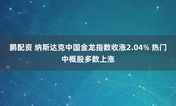 鹏配资 纳斯达克中国金龙指数收涨2.04% 热门中概股多数上涨