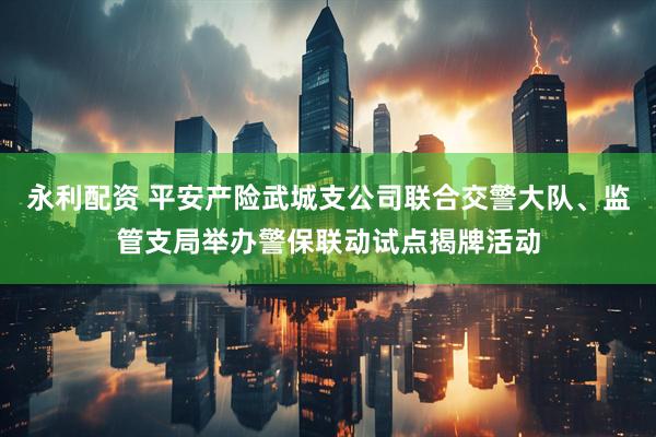 永利配资 平安产险武城支公司联合交警大队、监管支局举办警保联动试点揭牌活动