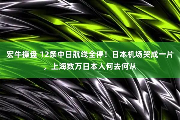 宏牛操盘 12条中日航线全停！日本机场哭成一片，上海数万日本人何去何从