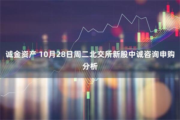 诚金资产 10月28日周二北交所新股中诚咨询申购分析